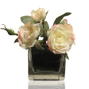 cubist rose
